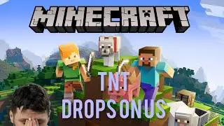 Minecraft, but tnt drops every now and again (not copied)