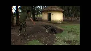Jackass/Wildboyz - The Giant 