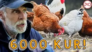 Gadałem z KURAMI - DAREK