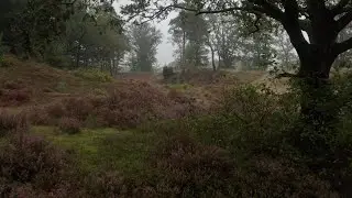 Odoornerzand Mist 2024