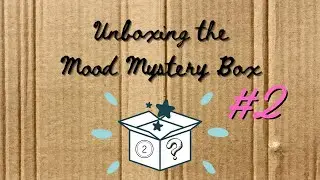 Unboxing the 10lb Mood Mystery Box #2