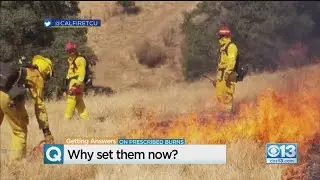 Why Are There Prescribed Burns During Fire Season?
