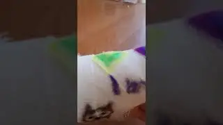 Бриллиантовая рука
