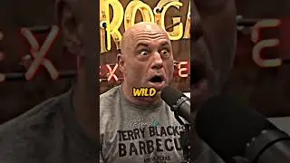 Joe Rogan's NEXT-LEVEL Gaming Knowledge 😂🤣 #jre #gaming #shorts