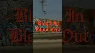 How Blood In Blood Out and The Godfather Are Similar 