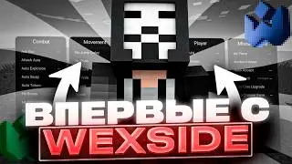 I logged into Anarchy Funtime with the Wexside Client for the first time | The best cheat is Mine...