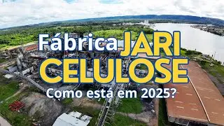 Jari Celulose - What will it be like in 2025? Unpublished and current images.