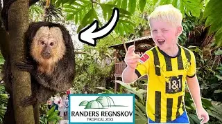 Besøger Randers Regnskov 2024