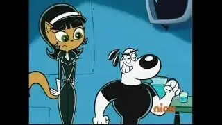 dudley plays it cool for the cham a lee on