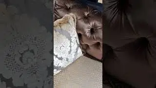 MONACO dvivietė sofa 🤩 Šis modelis puikiai tiks išskirtiniams namams