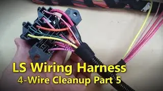 LS Wiring Harness Part 5 | Project Rowdy Ep017
