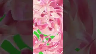 Bloom Petals Transition on Green Screen Background  