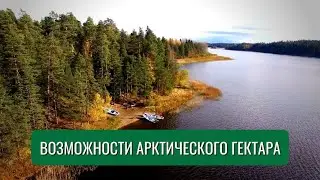 Возможности арктического гектара. Гектар в Арктике | Станислав Быковский
