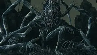 Bloodborne™ - Проклятая и осквернённая Чаша слой 3 ~ босс Амигдала