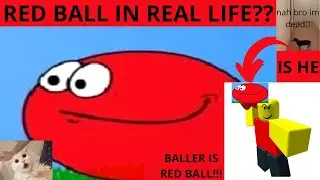 DT FC (REDBALL IRL) OSU! MANIA (**REAL!!!**)