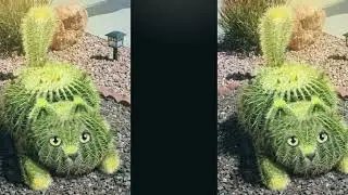 Колючий симпатяга