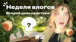 Неделя влогов23/ 2 день/ едем в лес