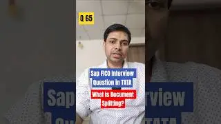 What is Document Splitting in SAP FICO? | Explained with Example | SAP FICO Interview Question