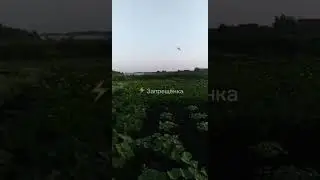 СРОЧНО!!! Воронежская область