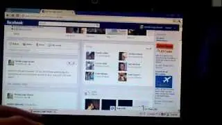 Batman the black lory chases the mouse cursor