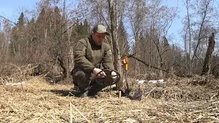 Нашел серебро в лесу!  Поиск вдоль реки!