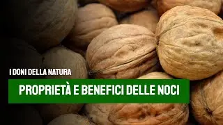 NOCI: benefici e proprietà  - I DONI DELLA NATURA