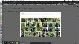 How to import an image to Google Sheets