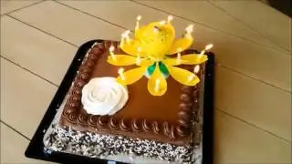 Прикольный тортик