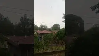 Summer Rain