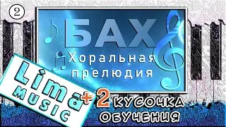 Бах - Хоральная Прелюдия Фа-минор — Урок №2 🎹 Обучение На Пианино