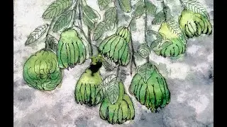 Buddha's hand