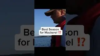 DON'T fish the WRONG SEASON for MACKEREL❗️ #fishing #mackerel #seafishing