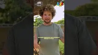 Самые необходимые выражения на идиш