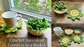 EASY Crochet Succulent Coasters in a Basket