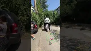 Амиго спешит на День рождение #panda #umka #Амиго #Умка #dance #umkarostov #мишкаумка #амиго