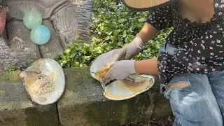 Picking up shells in the small river under high temperature, have you ever seen jade-like pearls?