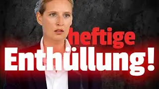 ⚡️BLITZMELDUNG: SCHWERSTE Vorwürfe gegen AfD
