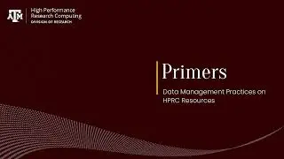 Primer: Data Management Practices on HPRC Resources (Fall 2024)