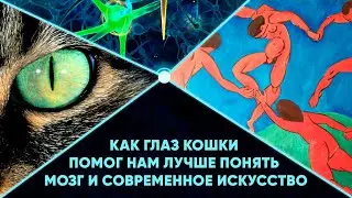 Понять мозг и современное искусство | Илья Мартынов