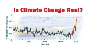 Bacontrees' Hot Topics - IS CLIMATE CHANGE REAL?