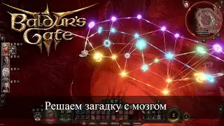 Baldur's Gate 3 Как решить головоломку с мозгом (нейроны) | Necrotic Library Brain Puzzle