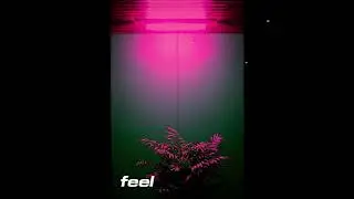 [FREE] 