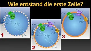 Wie entstand die erste Zelle? (Vorlesung Entstehung des Lebens Teil 12)