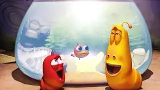 Larva season 1 Aquarium Episode 12