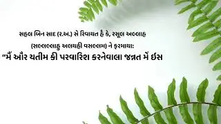 Wakf Live