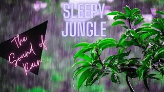 RAIN SOUNDS FOR SLEEP,  MEDITATION, RELAXATION, BEAT INSOMNIA, ZONE OUT! #THEHELPER