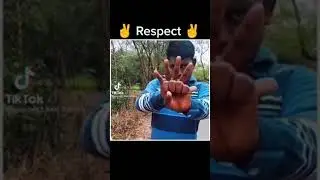 Respect
