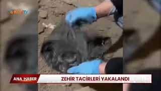 Zehir tacirleri yakalandı