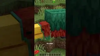 minecrafts four new HUGE ANNOUNCEMENTS