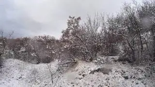 2. 12. 16 г. Охота в Крыму на вальдшнепа.